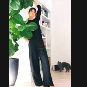 Neu Nomads Cara Palazzo 100% Linen Pants size small new with tag